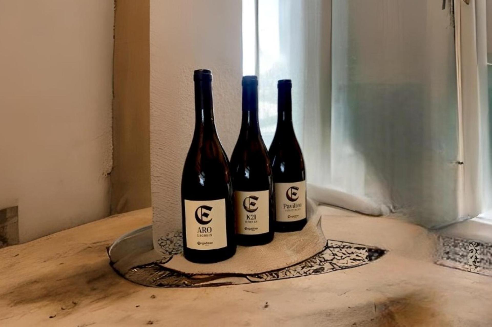 Engadiner Apartments & Wines Montagna Εξωτερικό φωτογραφία