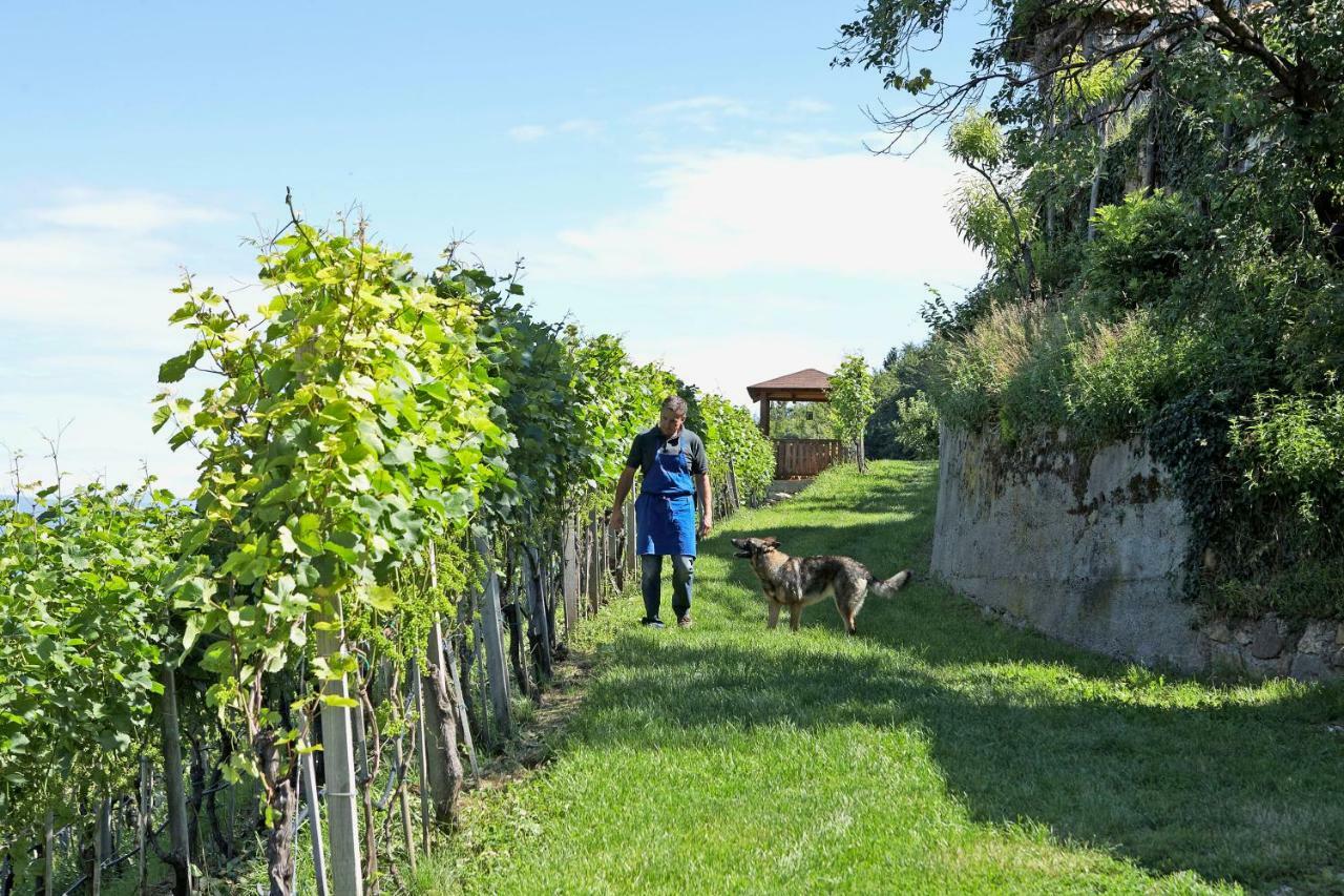 Engadiner Apartments & Wines Montagna Εξωτερικό φωτογραφία